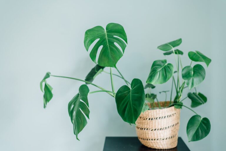 Kunstbloemen in vaas: zo voorkom je een plastic look dichtbij