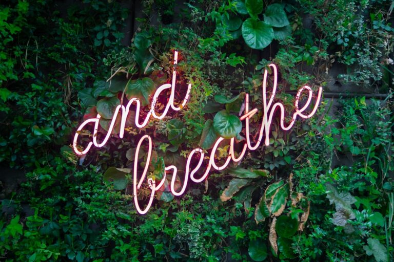 Wellness trends 2026: van rust tot zenuwstelselzorg